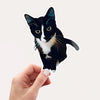 Innocent Cat Sticker