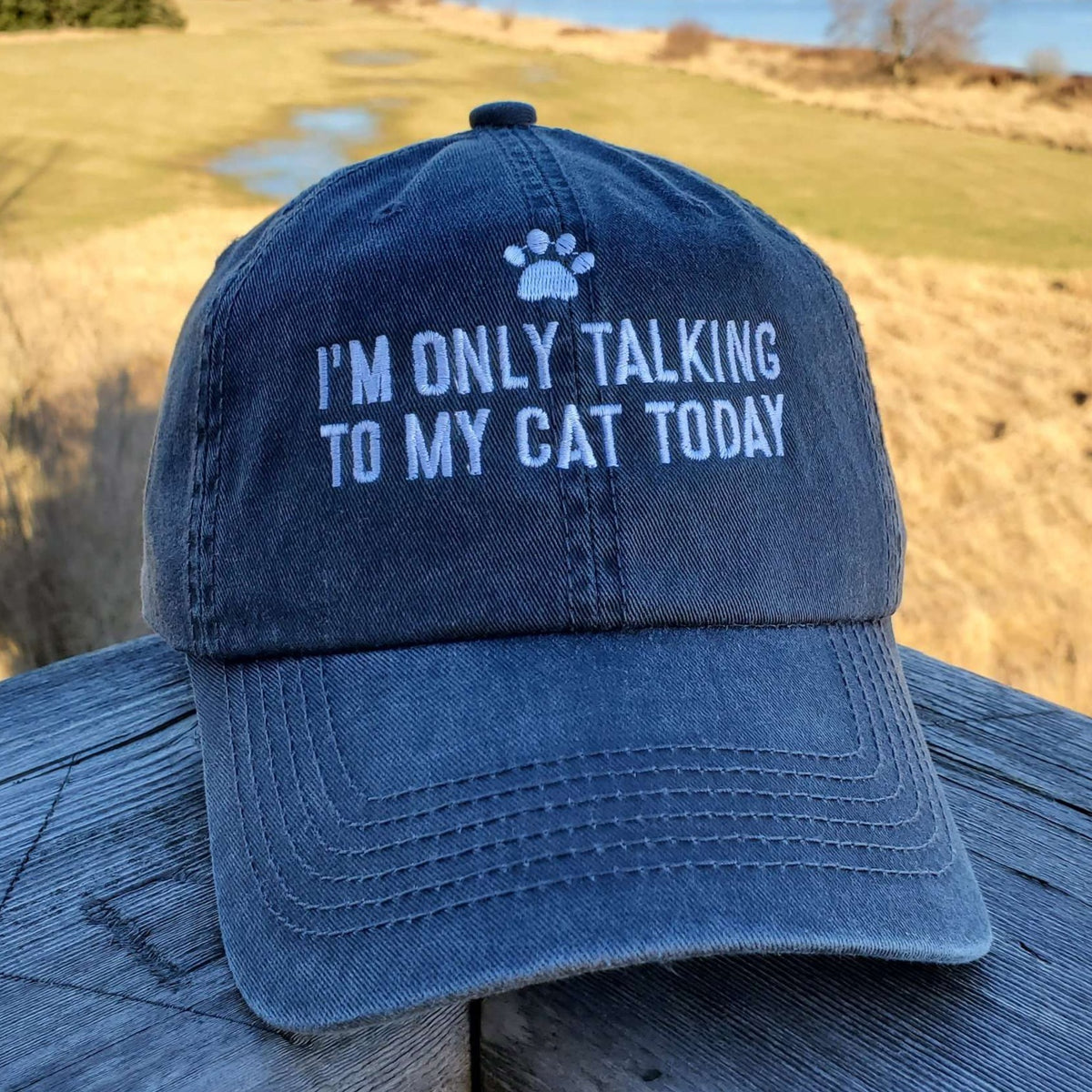 My Dog Thinks I'm Cool Hat Distressed Baseball Cap OR 