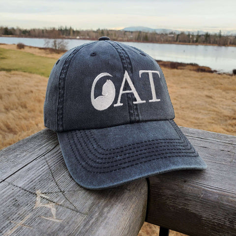 A Home Without A CAT Is Just A House Embroidered Hat